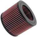 K&N Filters E-2443 Air Filter