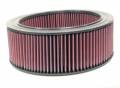 K&N Filters E-4834 Air Filter