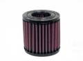 K&N Filters E-4110 Air Filter